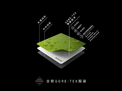 滑雪服 大戰(zhàn),本土品牌能否趕超國際大牌